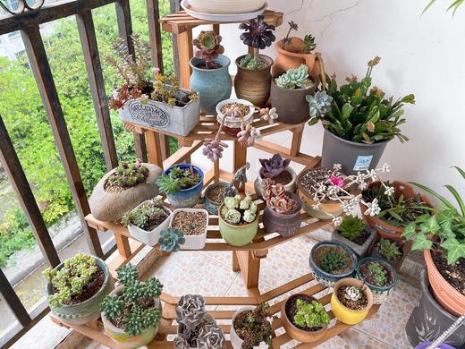 思田的阳台 商品图0