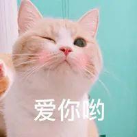  动物不刷牙，会不会有蛀牙呢？ 