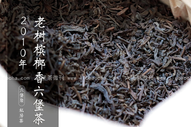 2010年老树槟榔香甜糯细滑气韵丰富多变500g六堡聚私房茶
