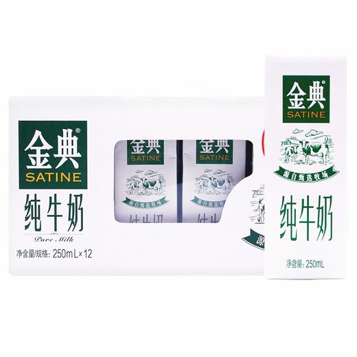 伊利金典纯牛奶250ml*12 商品图2
