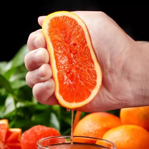 白富美血橙 红肉橙子 甜度极高 商品图1