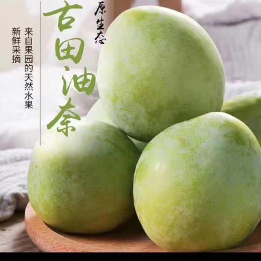 古田油奈（5斤装） 商品图0