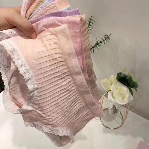 内裤（10条装） 商品图3
