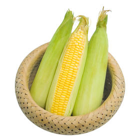 上庄店 黄甜水果玉米3根