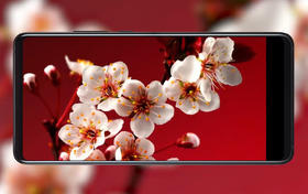 延时摄影，浓缩一段光阴