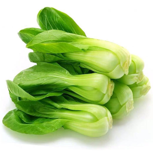 上庄店 小油菜500g 商品图0