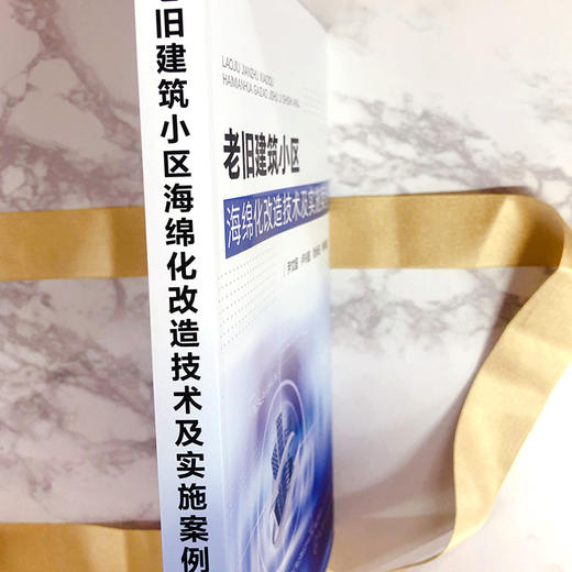 老旧建筑小区海绵化改造技术及实施案例 商品图3