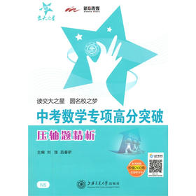 中考数学专项高分突破—压轴题精析