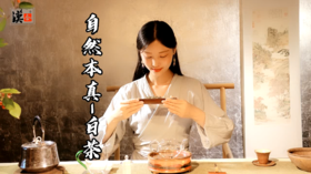 自然本真—白茶之美