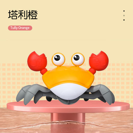 萌趣螃蟹宠物洗澡玩具沙滩玩具 商品图3