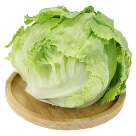 上庄店 圆生菜约500g/个