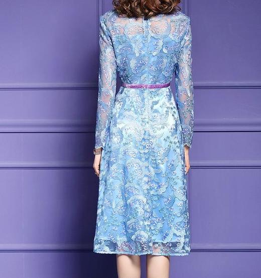 FMY-F20CL29867V领气质收腰绣花连衣裙 商品图3