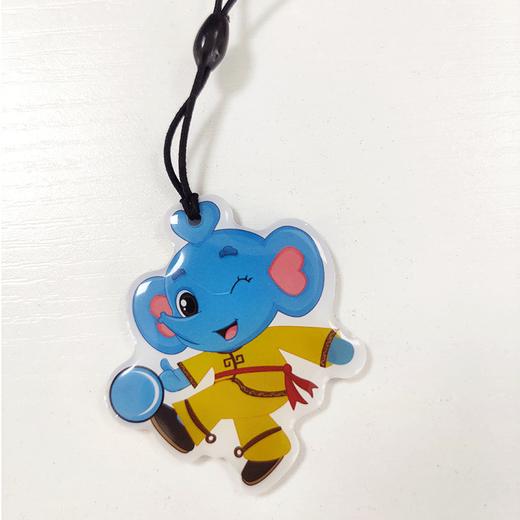 【限量50份，售完为止】郑州地铁晶晶计次卡+安踏10次卡，共计60次 商品图4