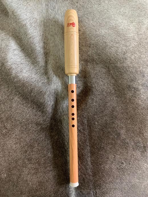 巴乌 教学款塑胶【竖吹】 商品图3