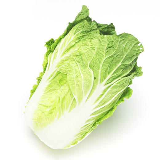 上庄店 大白菜1.5kg/颗 商品图0
