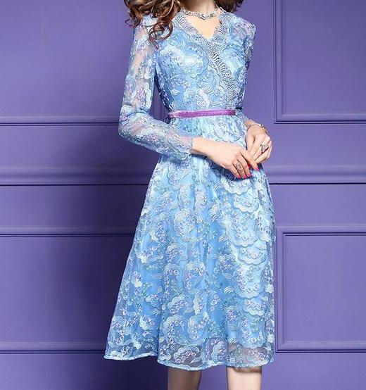 FMY-F20CL29867V领气质收腰绣花连衣裙 商品图1