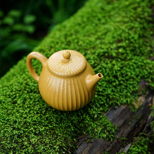 龙德堂陶艺 汤宣武制 《悟能》 350cc 原矿黄金段 (库存请咨询客服) 商品图1