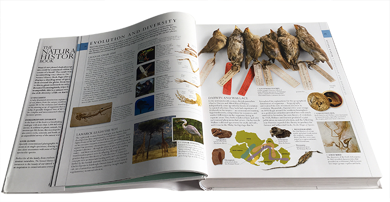 Natural History by DK Publishing