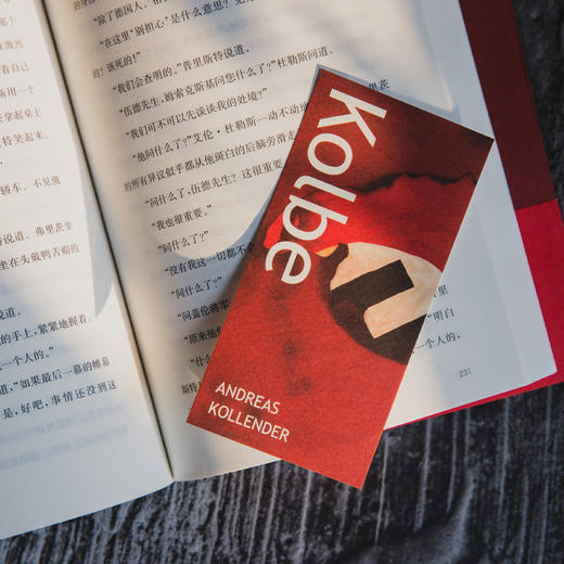 诚实的间谍//守望者·文学 商品图8