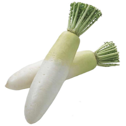 上庄店 白萝卜500g 商品图0
