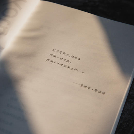 诚实的间谍//守望者·文学 商品图6