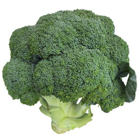 上庄店 西兰花500g