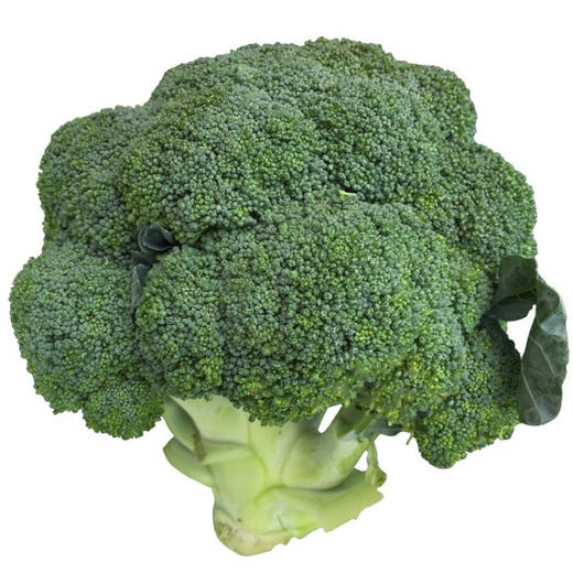 上庄店 西兰花500g 商品图0