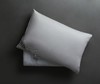 95%白鹅绒 柔软 回弹 支撑 ESTEEM舒芯枕 商品缩略图1