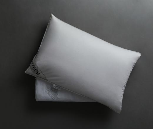 95%白鹅绒 柔软 回弹 支撑 ESTEEM舒芯枕 商品图1