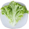 上庄店 叶生菜500g 商品缩略图0