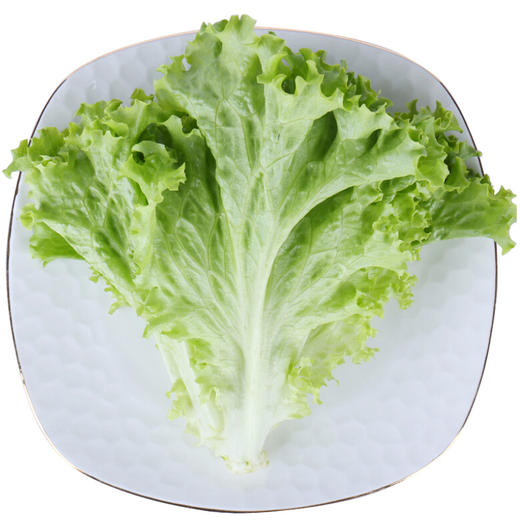 上庄店 叶生菜500g 商品图0