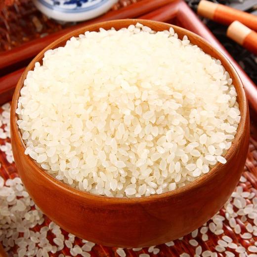 日本越光 品种越前米 3kg 商品图1