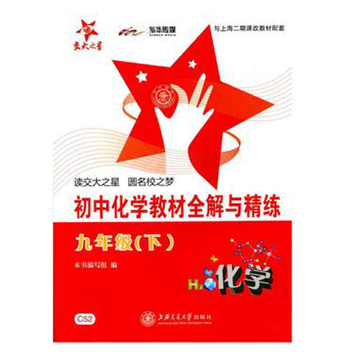 初中化学教材全解与精练（九年级下） 商品图0