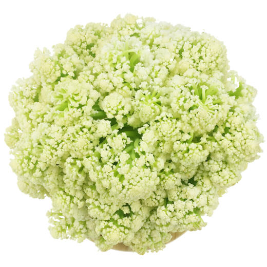 上庄店 有机菜花500g 商品图0