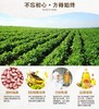 鲁花花生油 商品缩略图2