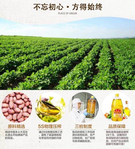鲁花花生油 商品图2