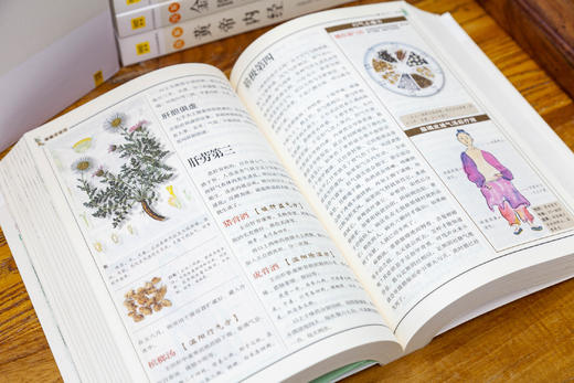 《图解国医典藏》系列套装（共6册）一套人人都能看懂、用得上的国医经典 商品图6