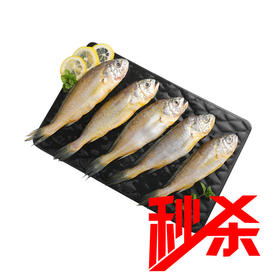 冻小黄鱼约350g/袋