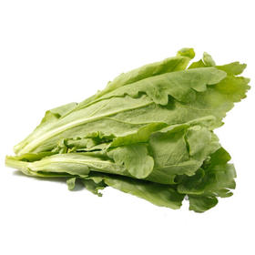 上庄店 茼蒿500g