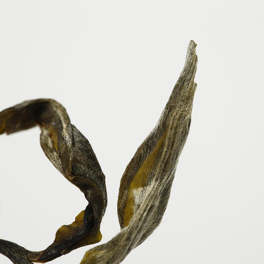 压箱底箱传茶·班章普洱茶（生茶）2020年新茶 150g/盒 3.6kg/箱 商品图2