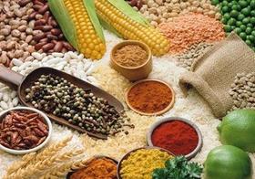 细粮、粗粮如何吃？