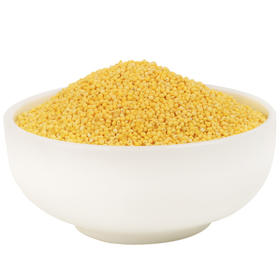 上庄店 黄金苗小米500g