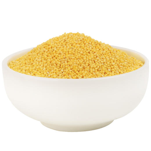 上庄店 黄金苗小米500g 商品图0
