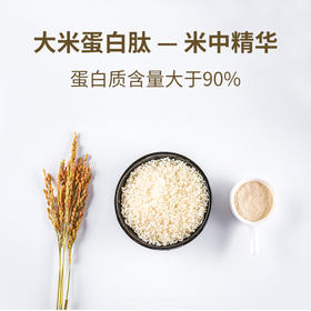  大米蛋白肽——抗糖试验报告 