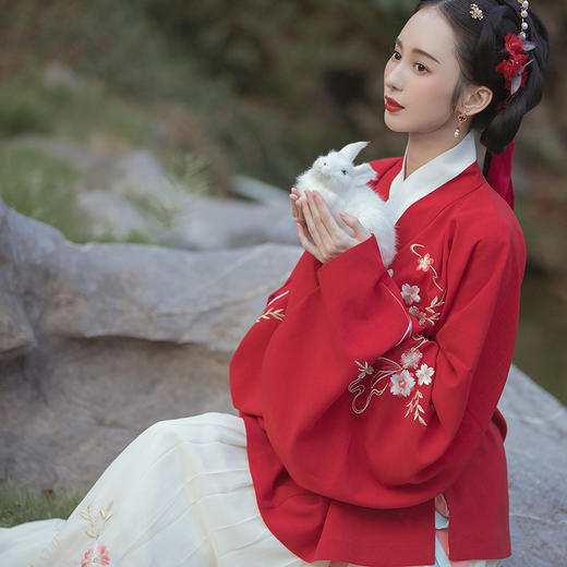 羽仙曲 明制交领齐腰袄裙 春秋装 商品图1