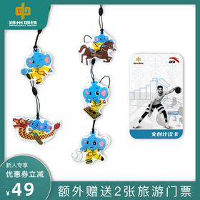 【限量50份，售完为止】郑州地铁晶晶计次卡+安踏10次卡，共计60次