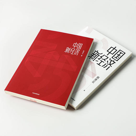 中国新经济 韩秀云 著 经济理论 经济学 市场行为 经济逻辑 基础知识 中信出版图书 正版 商品图4