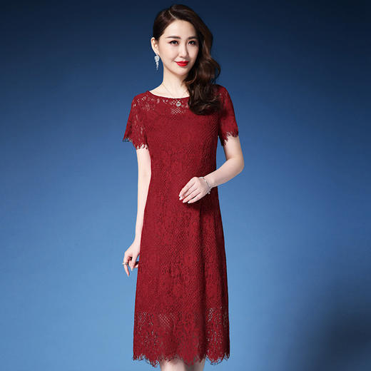 ZY-Q5086新品时尚优雅高端气质显瘦修身网纱刺绣连衣裙 商品图1