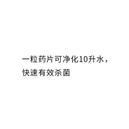 瑞士KATADYN进口净水片家用饮用水消毒片户外探险用品求生装备欧洲胡同eurohuton 50201 商品图1