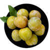 新鲜现摘李子 当季水果 果香浓郁 脆蜜晚李500g 商品缩略图7
